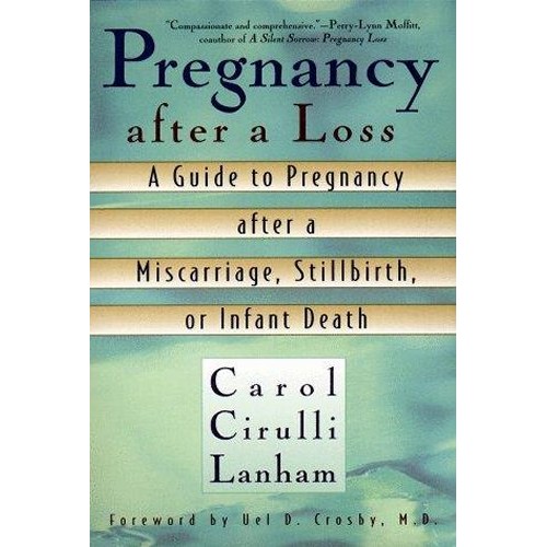 Pregnancy After A Loss 